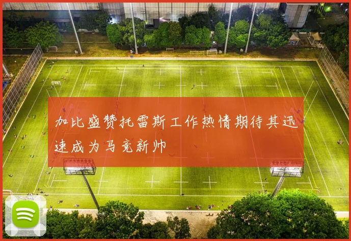 加比盛赞托雷斯工作热情期待其迅速成为马竞新帅