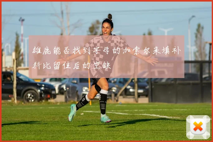 雄鹿能否找到字母的加索尔来填补科比留住后的空缺