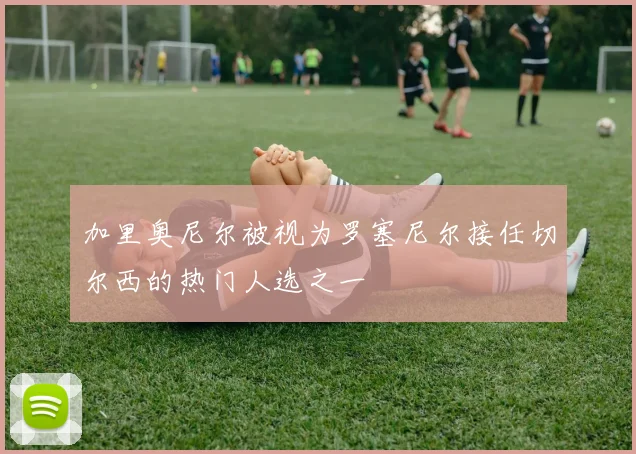 加里奥尼尔被视为罗塞尼尔接任切尔西的热门人选之一